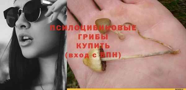 ECSTASY Алексин