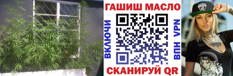 магазин продажи наркотиков  Мегион  Дистиллят ТГК Wax 