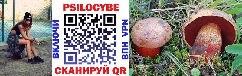 Псилоцибиновые грибы Cubensis  Мегион 