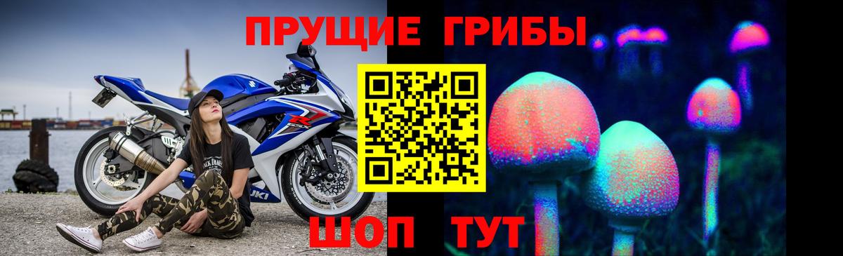 купить наркоту  Вход с VPN  Псилоцибиновые грибы мицелий  Мегион  Псилоцибиновые грибы MAGIC MUSHROOMS 